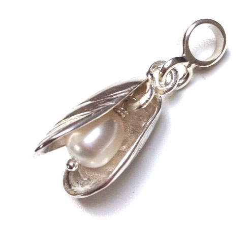 mussel shell charm